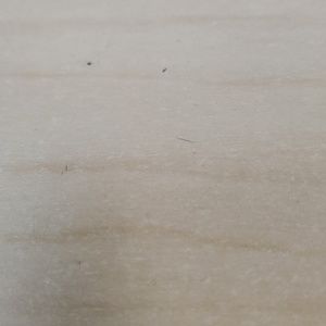 Meet your Posher, Caitlynn